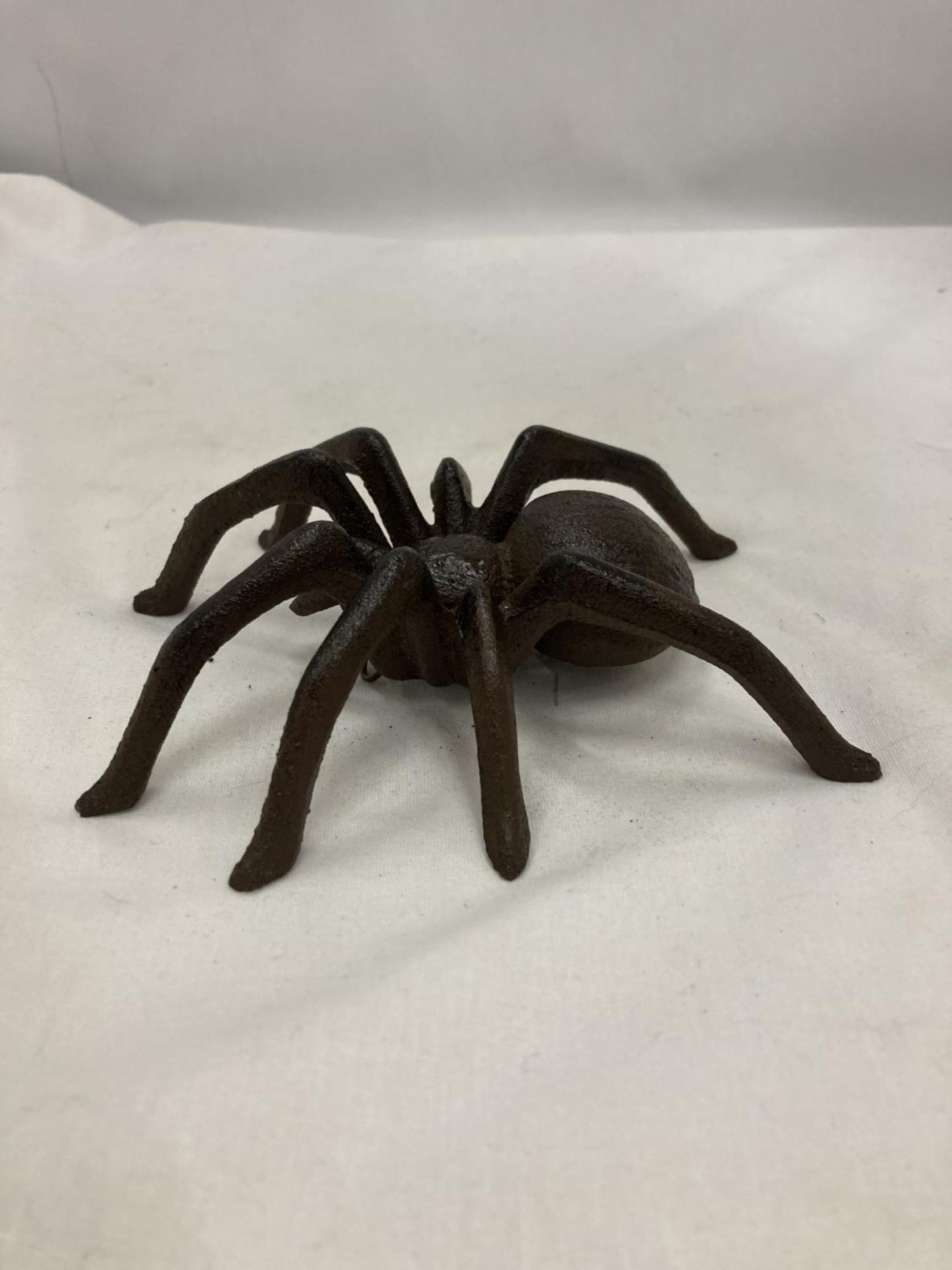 A CAST METAL MODEL OF A SPIDER - Image 5 of 5