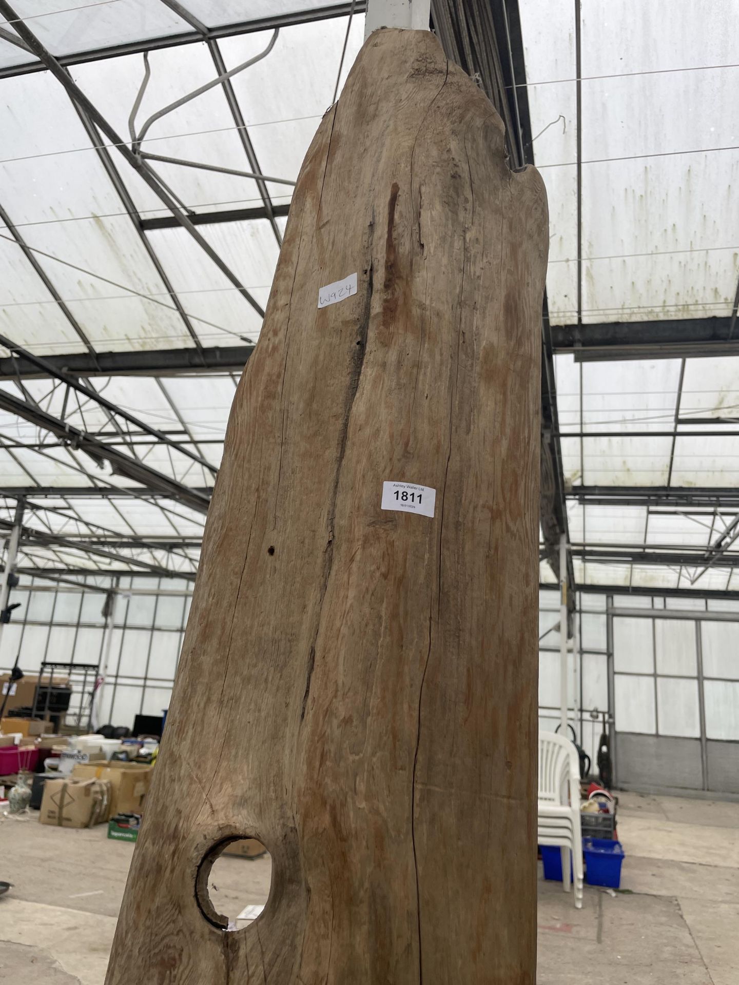 A TALL PIECE OF OAK, HEIGHT 200CM - Bild 3 aus 4