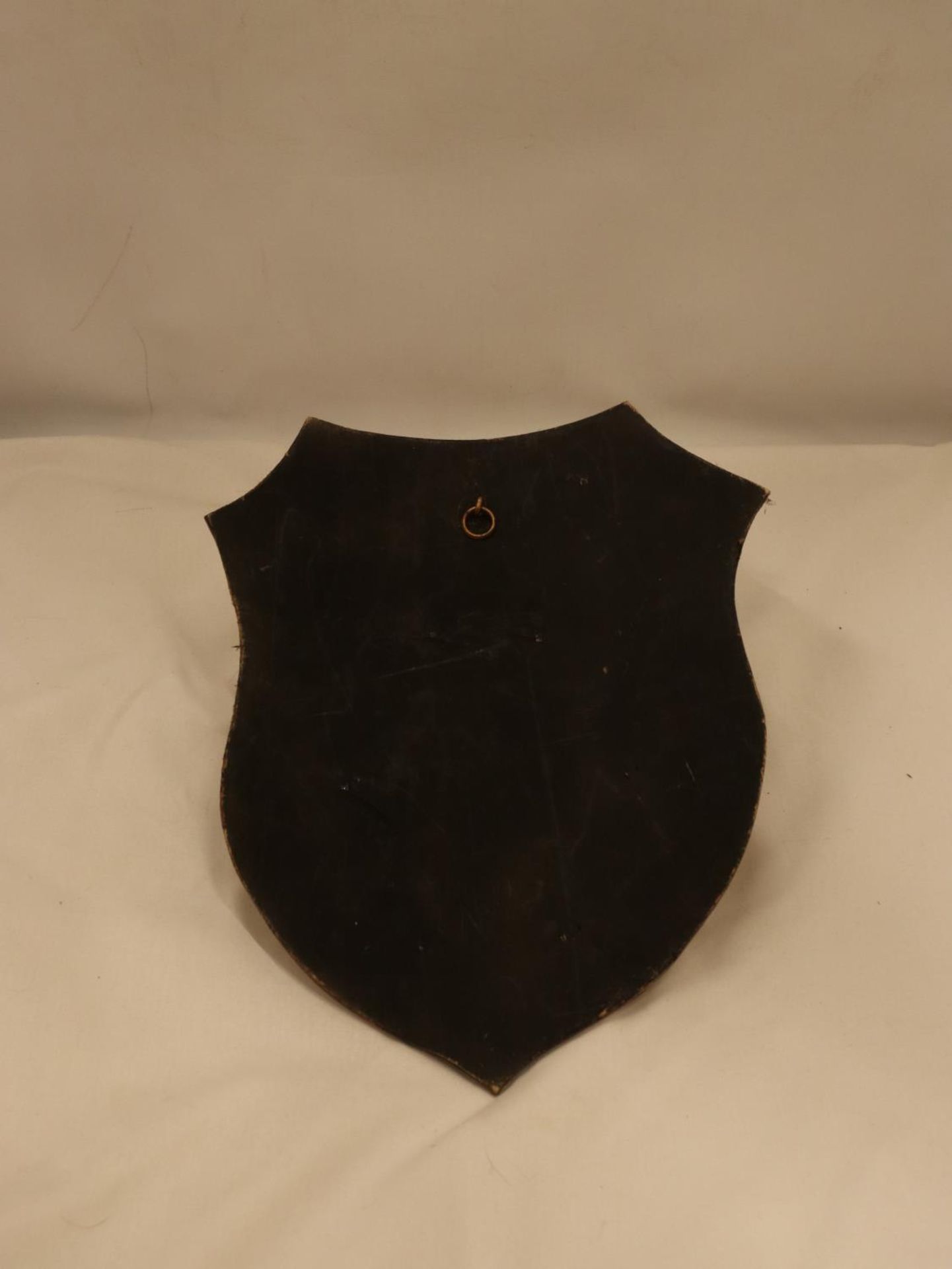 A PART OF A SKULL WITH HORNS AND TEETH ON A WOODEN SHIELD SHAPED PLAQUE - Image 3 of 4