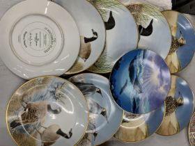 VARIOUS COLLECTORS PLATES TO INCLUDE THE DANBURY MINT