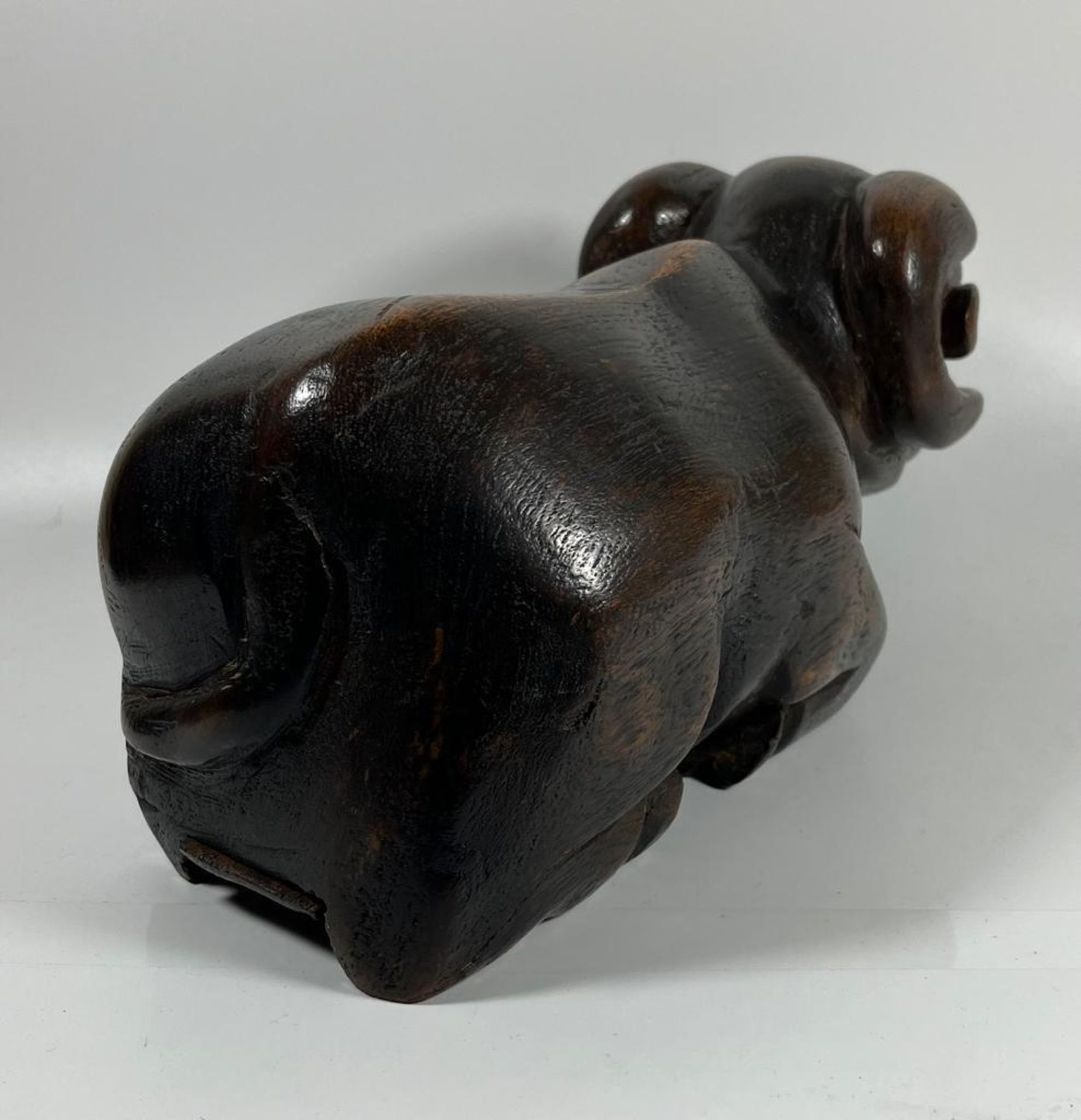 A VINTAGE AFRICAN TRIBAL HARDWOOD MODEL OF A RAM WITH SECRET UNDER CARRIAGE COMPARTMENT, LENGTH 27 - Image 3 of 7