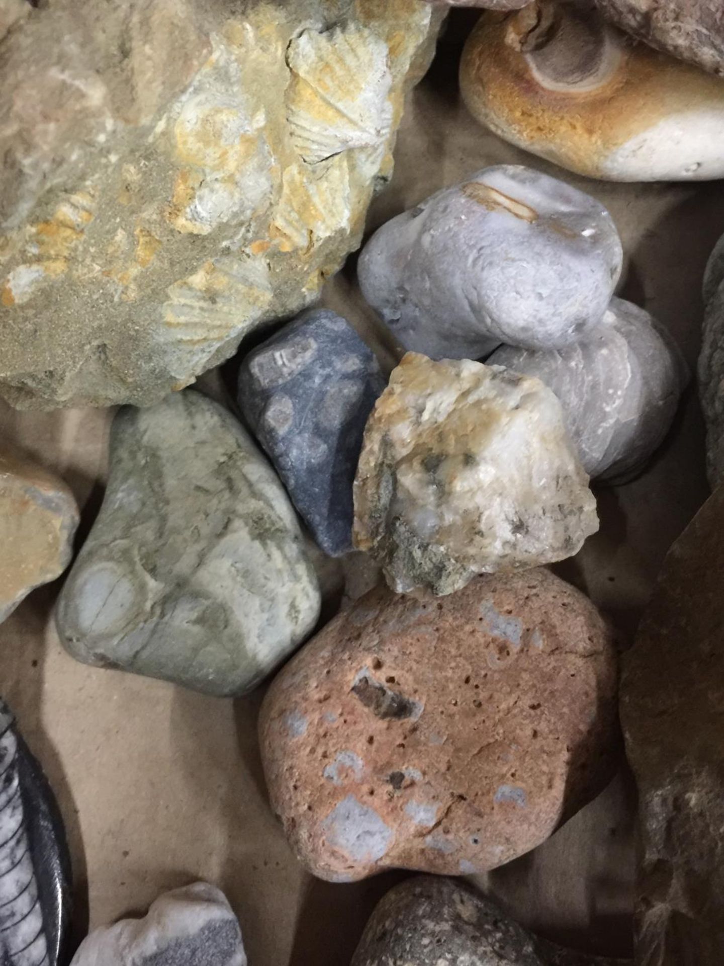 A BOX OF ASSORTED GEMOLOGICAL STONES ETC - Image 4 of 4