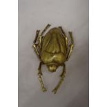 A GOLD COLOURED WALL HANGING BEETLE, LENGTH 27CM