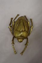 A GOLD COLOURED WALL HANGING BEETLE, LENGTH 27CM