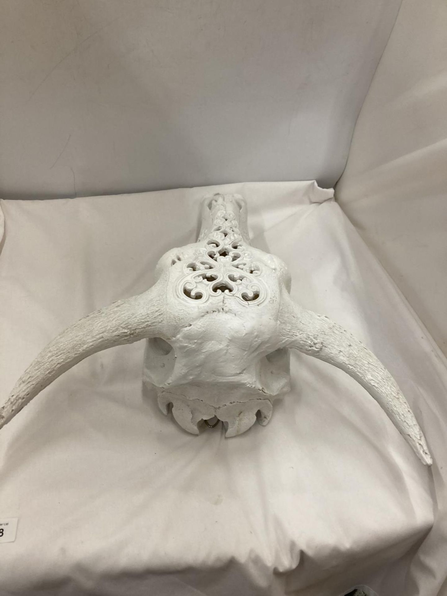 A MODEL OF A WHITE COW SKULL WITH HORNS - Image 3 of 4