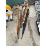 A COLLECTION OF VARIOUS WALKING STICKS AND UMBRELLAS