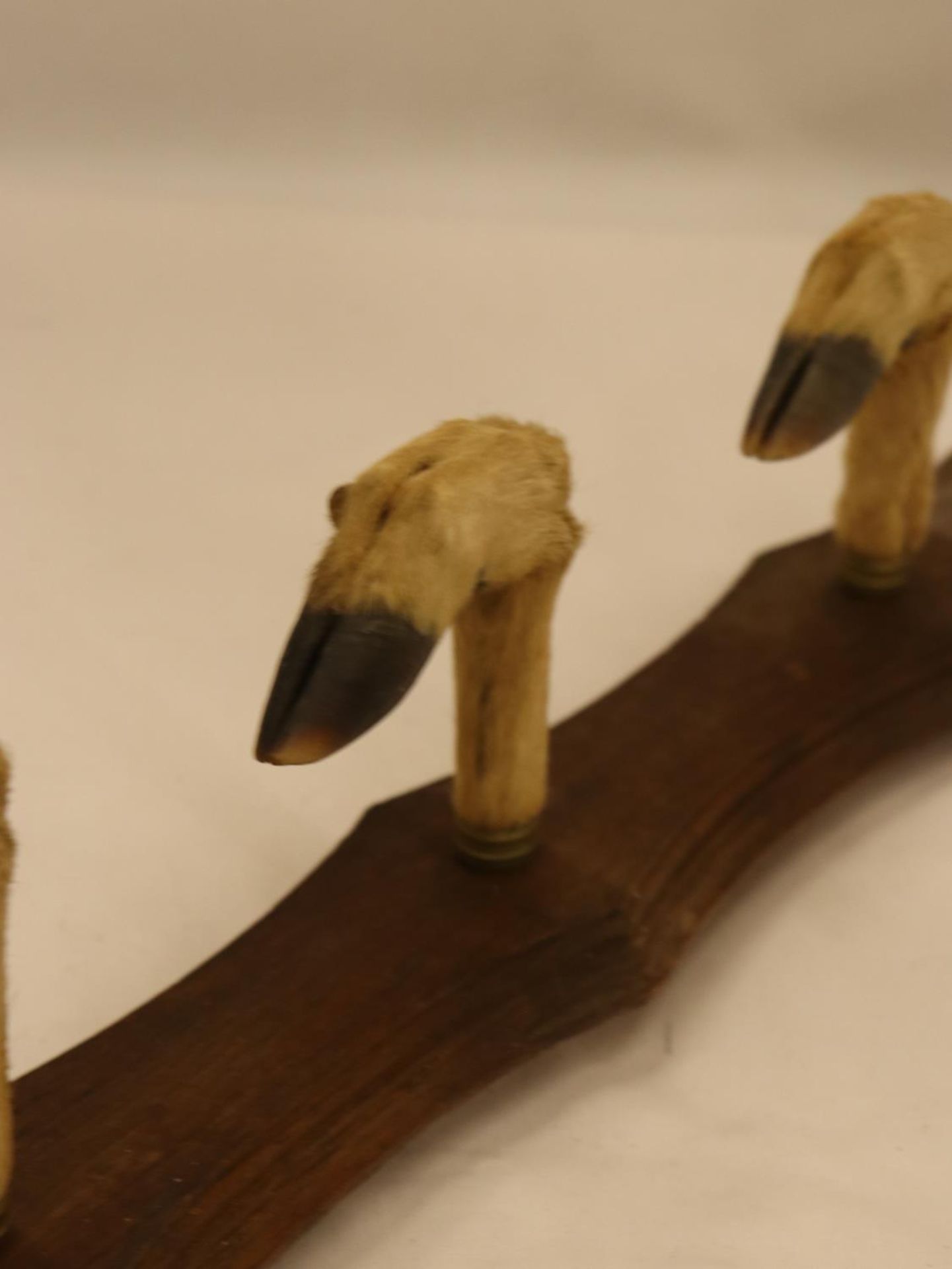 A WALL MOUNTED 'HOOF' COAT RACK - Image 3 of 5