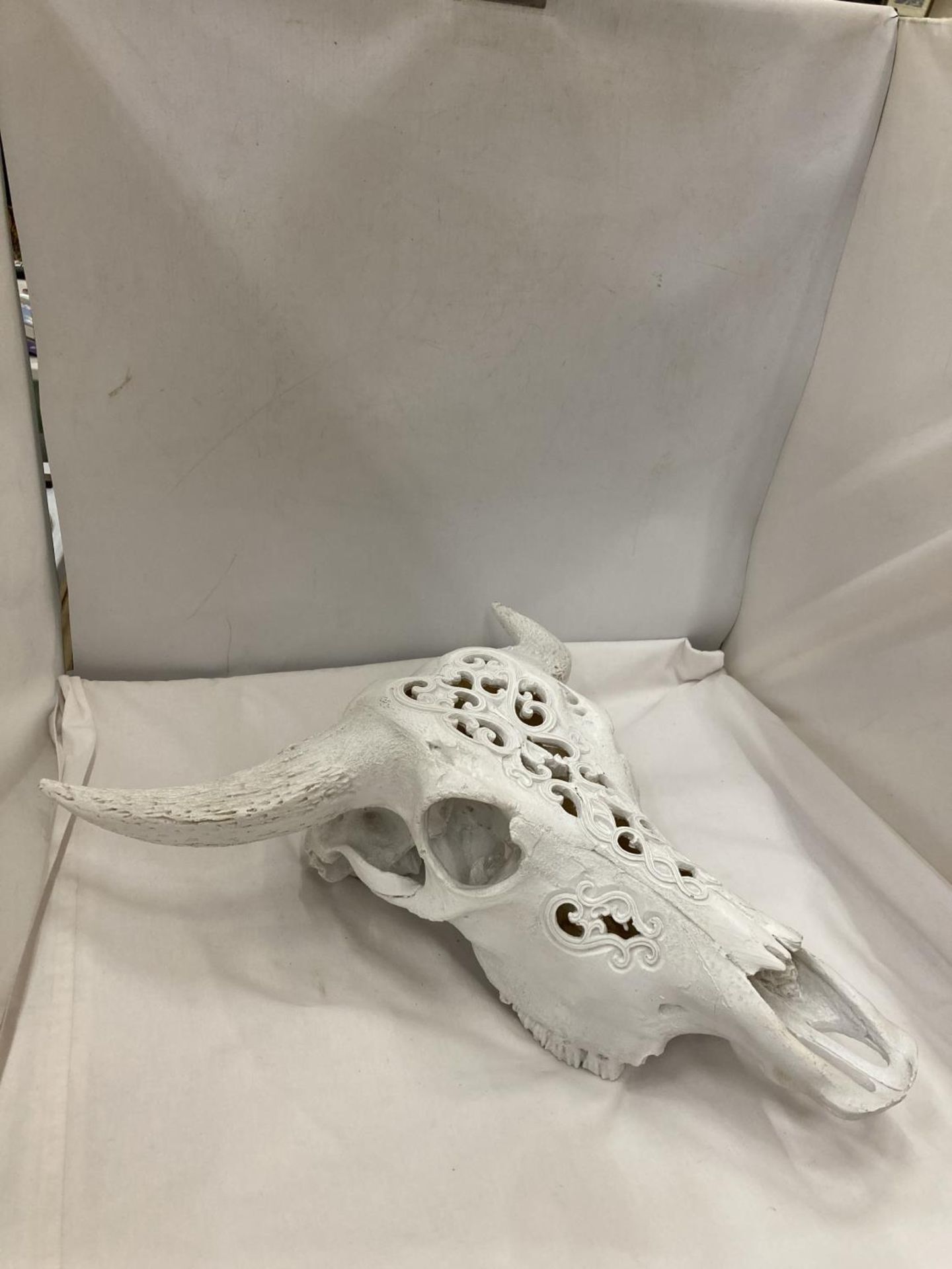 A MODEL OF A WHITE COW SKULL WITH HORNS - Image 2 of 4