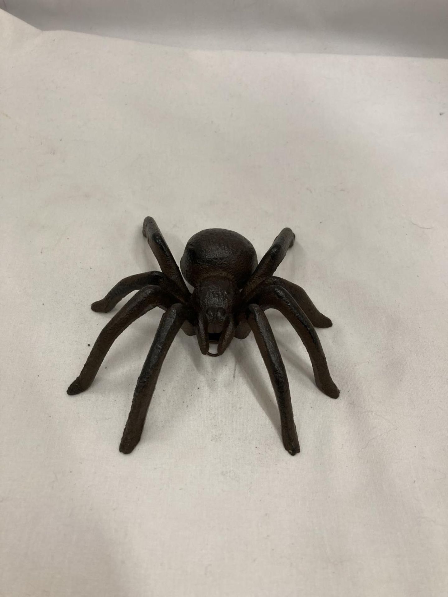 A CAST METAL MODEL OF A SPIDER