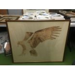 A LARGE FRAMED PICTURE OF A HAWK