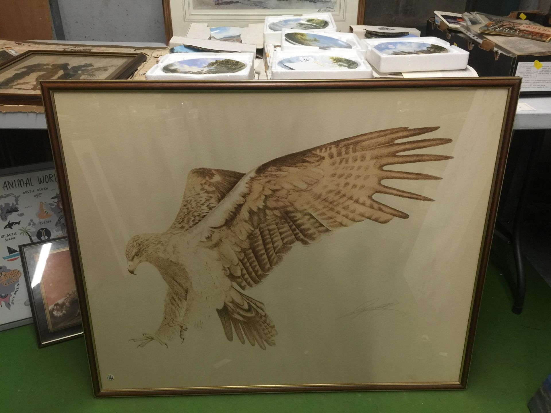 A LARGE FRAMED PICTURE OF A HAWK