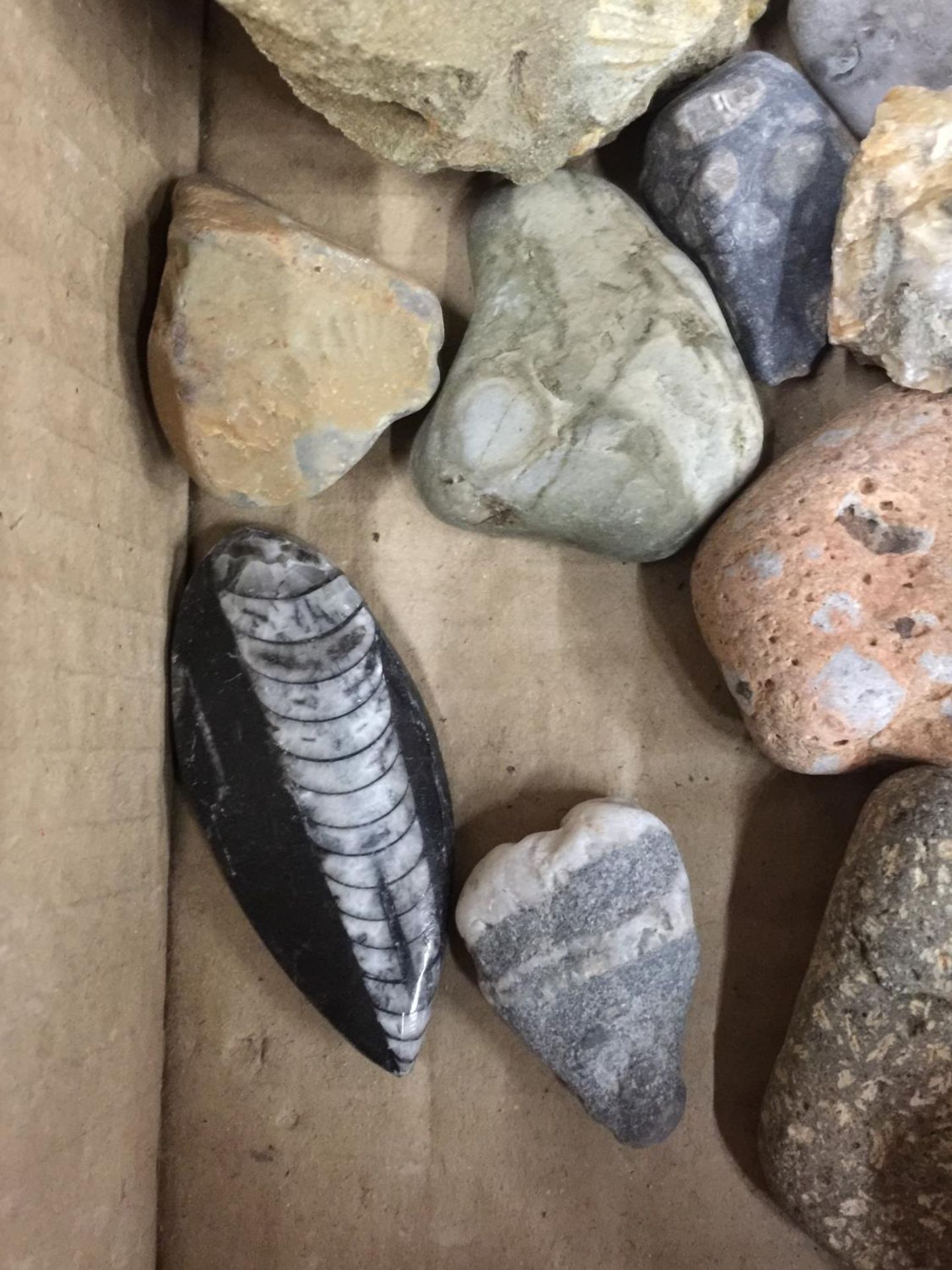 A BOX OF ASSORTED GEMOLOGICAL STONES ETC - Image 2 of 4