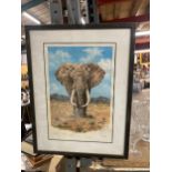 A LIMITED EDITION 48/250 FRAMED PRINT "SOLO" BY ALLAN WYATT