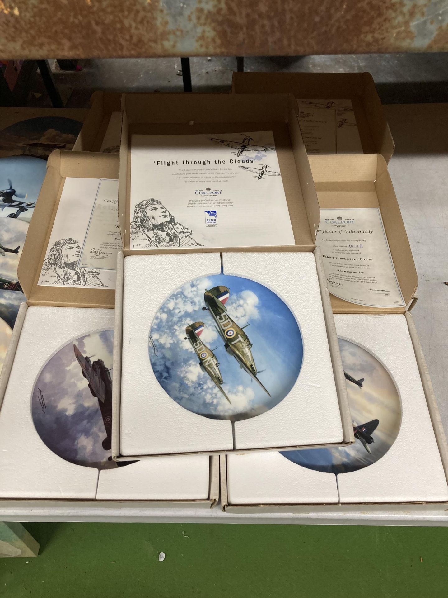 A LARGE QUANTITY OF COALPORT LIMITED EDITION PLATES "REACH FOR THE SKY" SOME IN BOXES AND WITH - Image 5 of 5