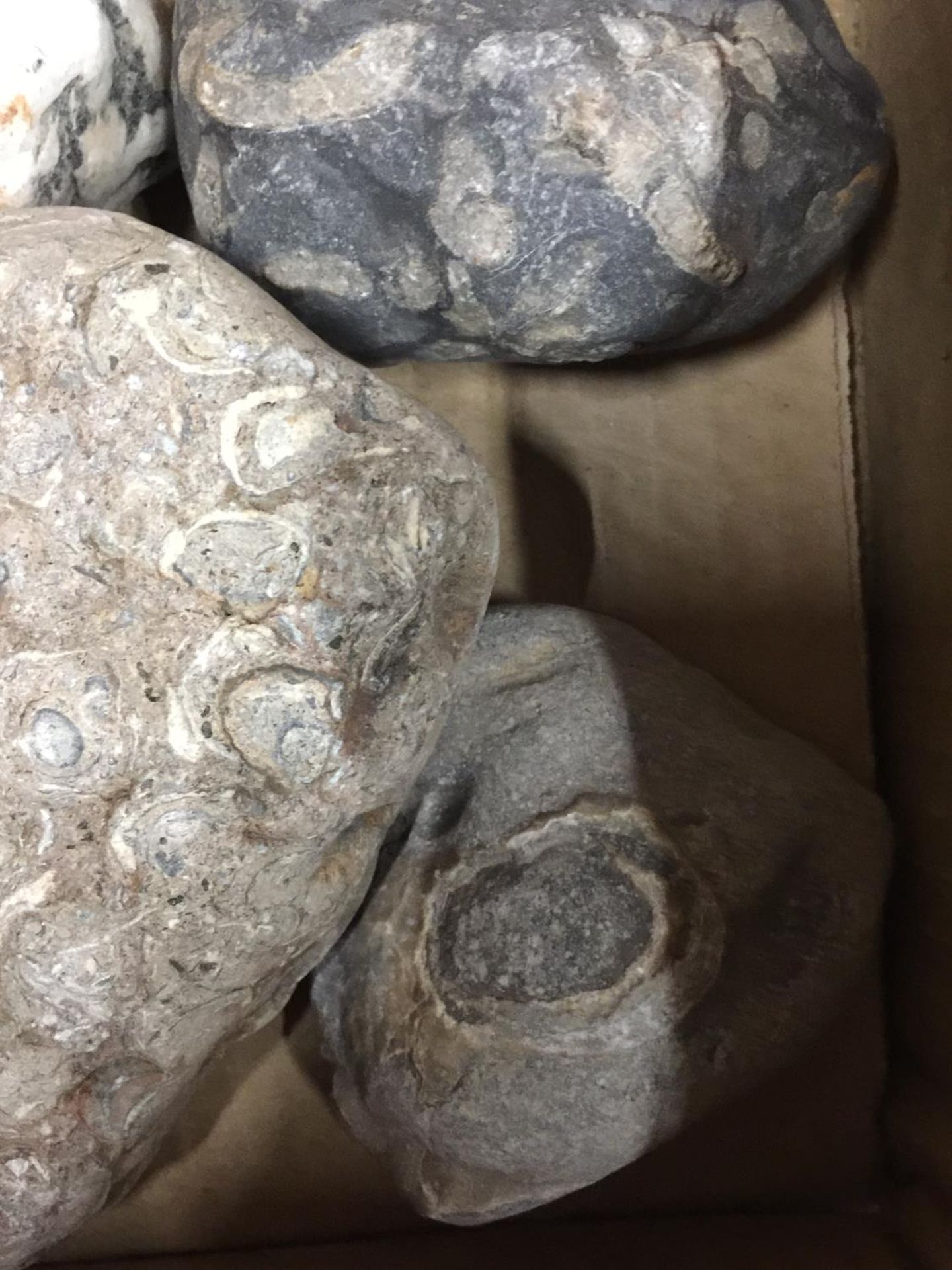 A BOX OF ASSORTED GEMOLOGICAL STONES ETC - Image 3 of 4