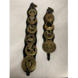TWO LEATHER MARTINGALES WITH HORSE BRASSES