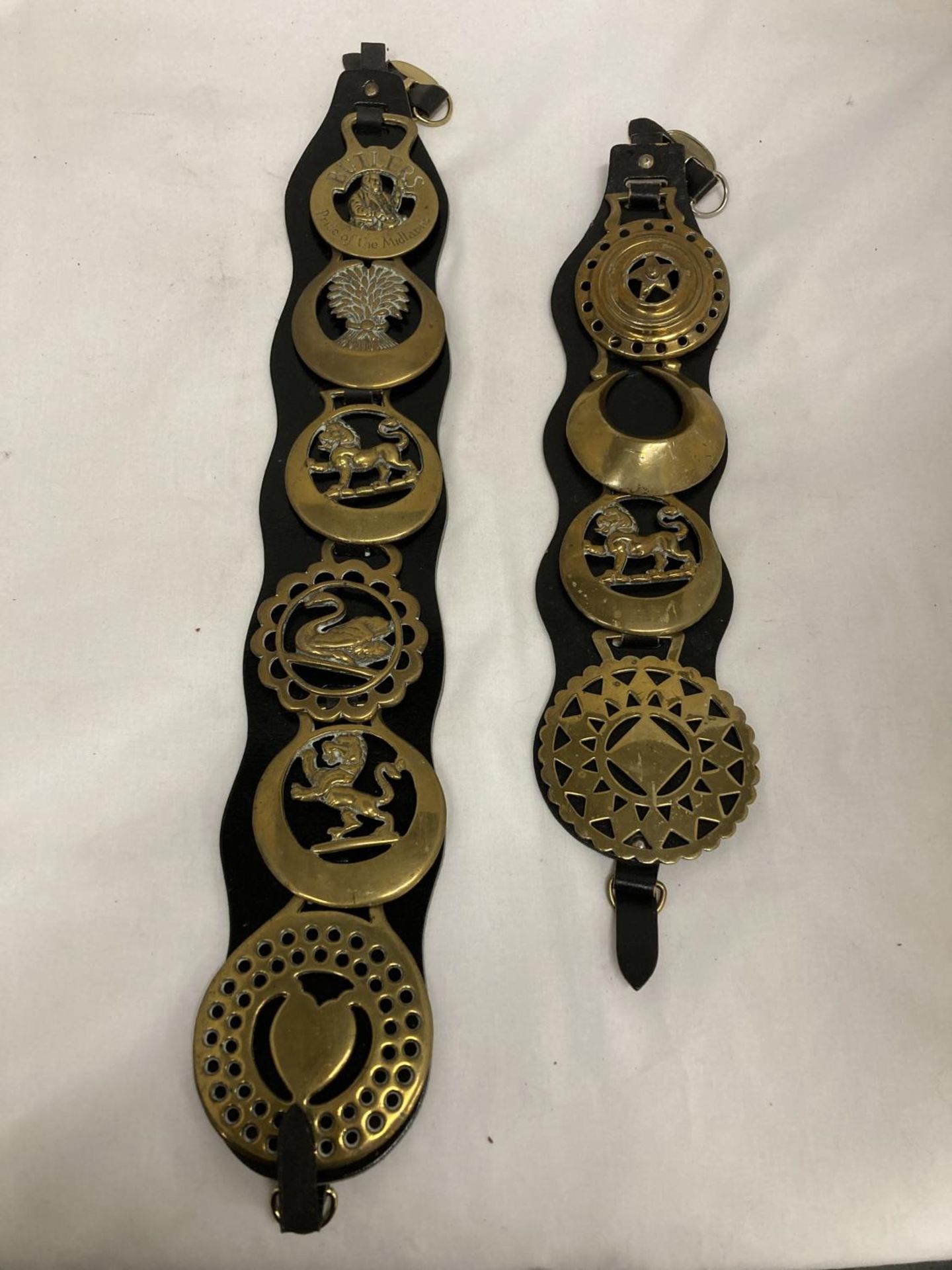 TWO LEATHER MARTINGALES WITH HORSE BRASSES