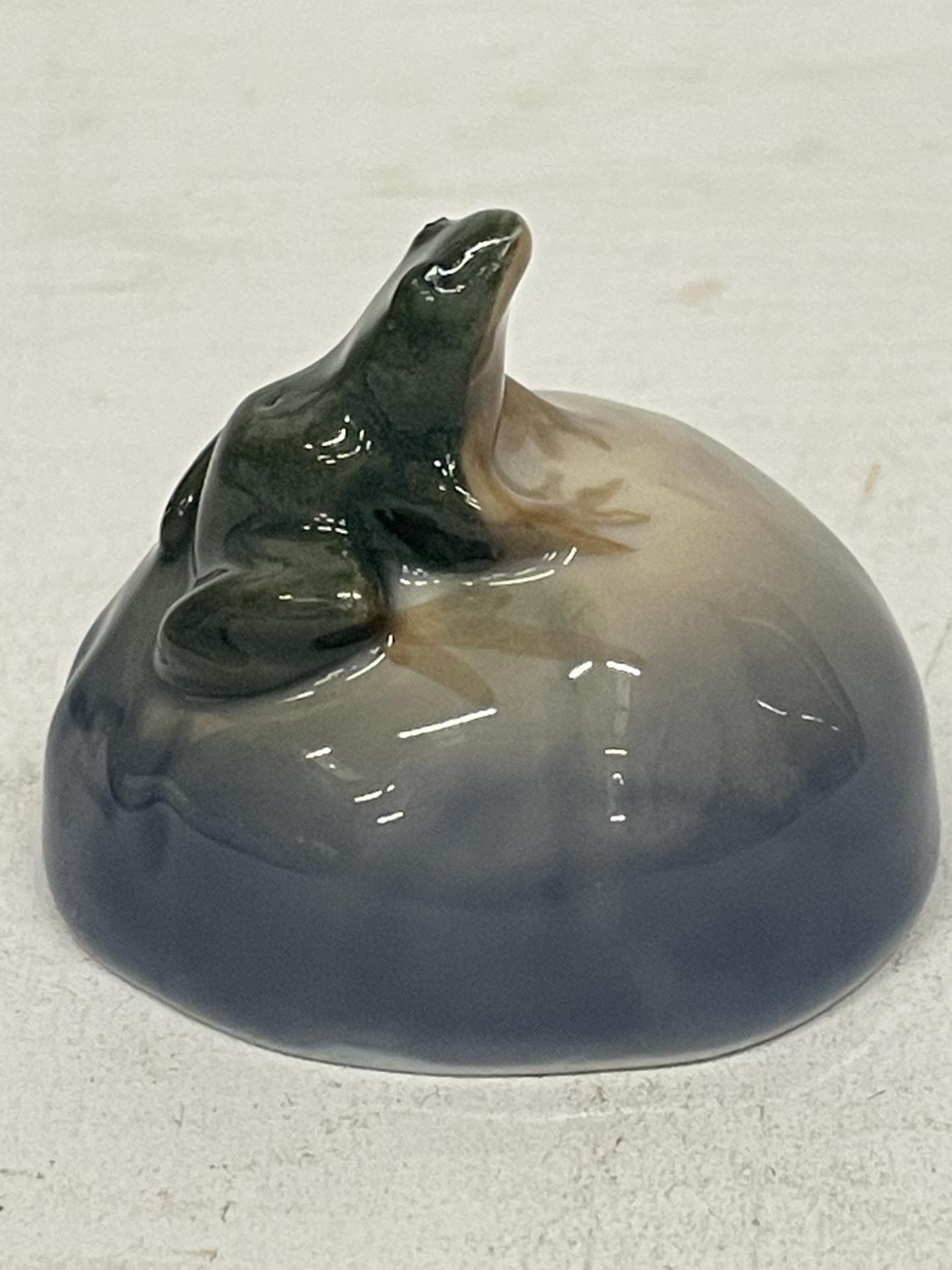 A MINIATURE ROYAL COPENHAGEN PORCELAIN FROG - MODEL NO. 507 - SCULPTOR ERIK NIELSEN - Image 2 of 4