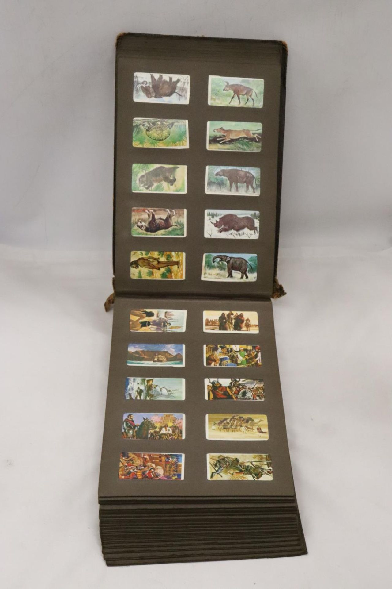 AN ALBUM CONTAINING A COLLECTION OF CIGARETTE CARDS - Image 5 of 6