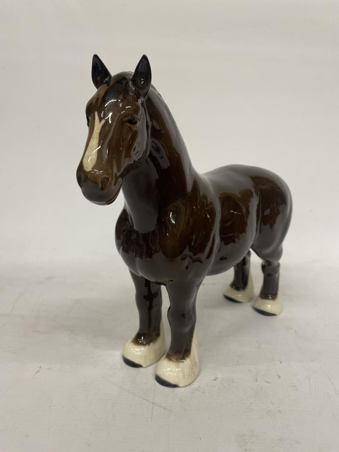 A BESWICK MODEL OF A SHIRE HORSE BLOWN GLOSS WITH WHITE BLAZE AND WHITE SOCKS - BURNHAM BEAUTY