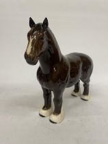 A BESWICK MODEL OF A SHIRE HORSE BLOWN GLOSS WITH WHITE BLAZE AND WHITE SOCKS - BURNHAM BEAUTY