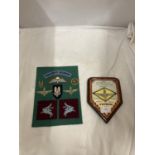 A COLLECTION OF PARACHUTE REGIMENT METAL AND CLOTH BADGES AND AN ARNHEM PLAQUE