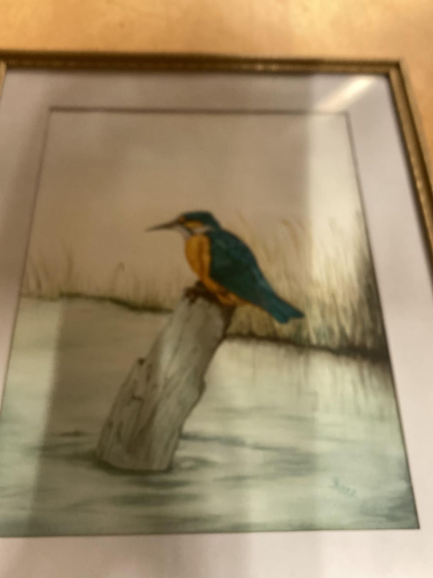 A FRAMED WATERCOLOUR OF A KINGFISHER, SIGNED GB 1988, 44CM X 53CM - Image 2 of 6