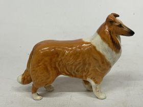A BESWICK COLLIE DOG