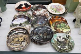 A LARGE COLLECTION OF CABINET/WALL PLATES - APPROX 23 IN TOTAL