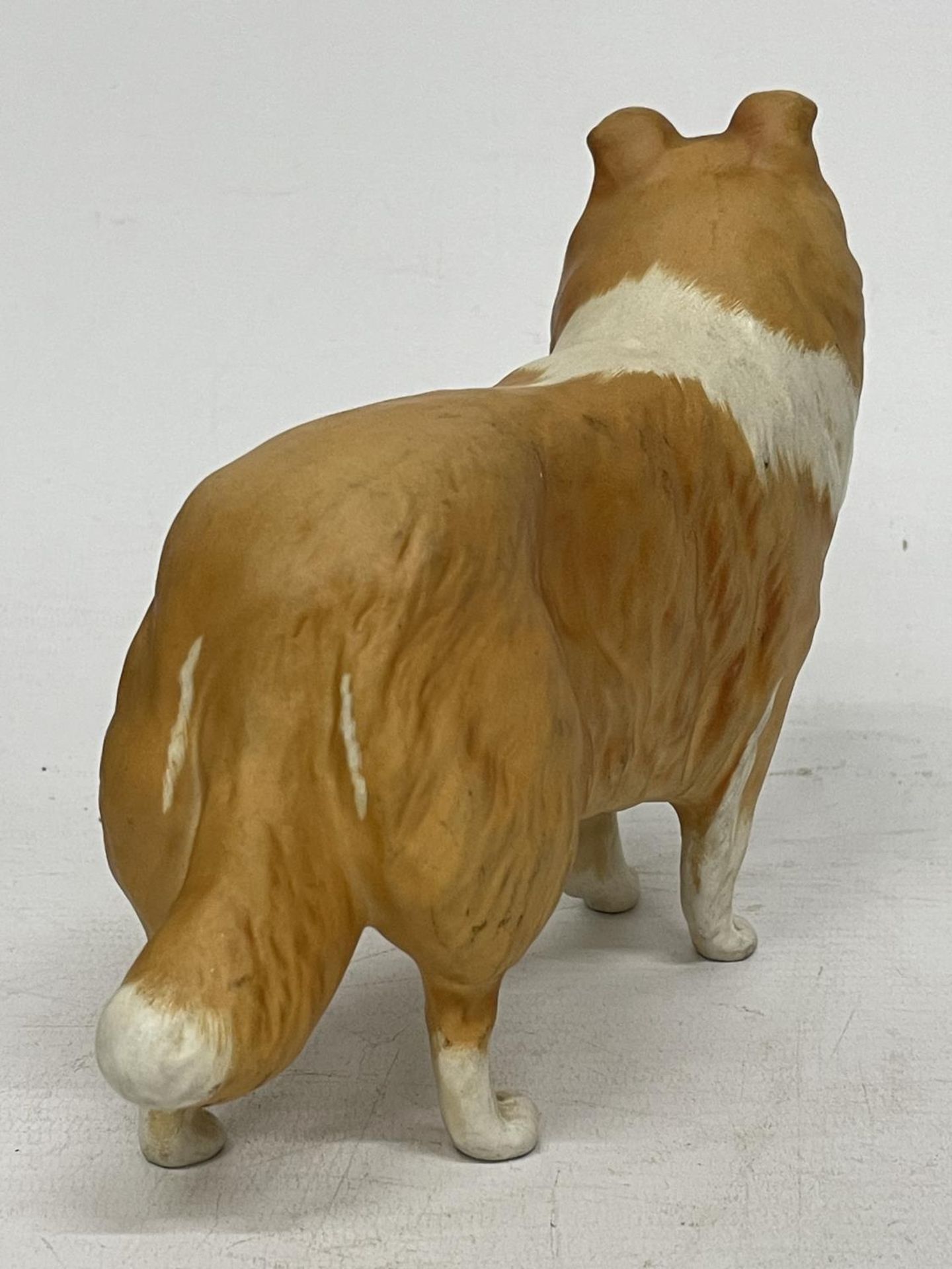 A BESWICK COLLIE DOG (LADY PARK) - Bild 3 aus 5