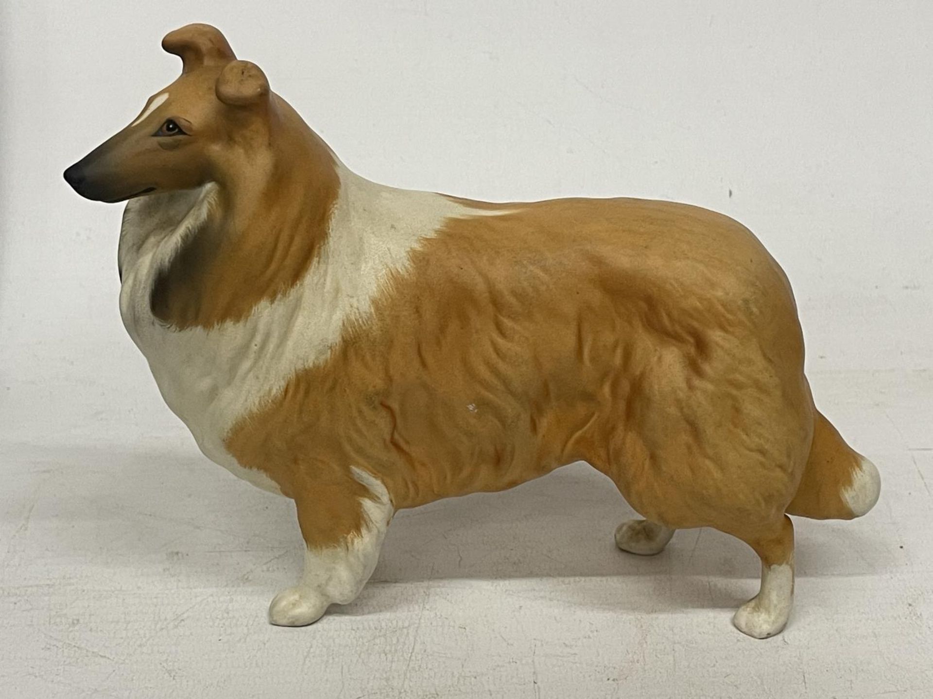A BESWICK COLLIE DOG (LADY PARK)