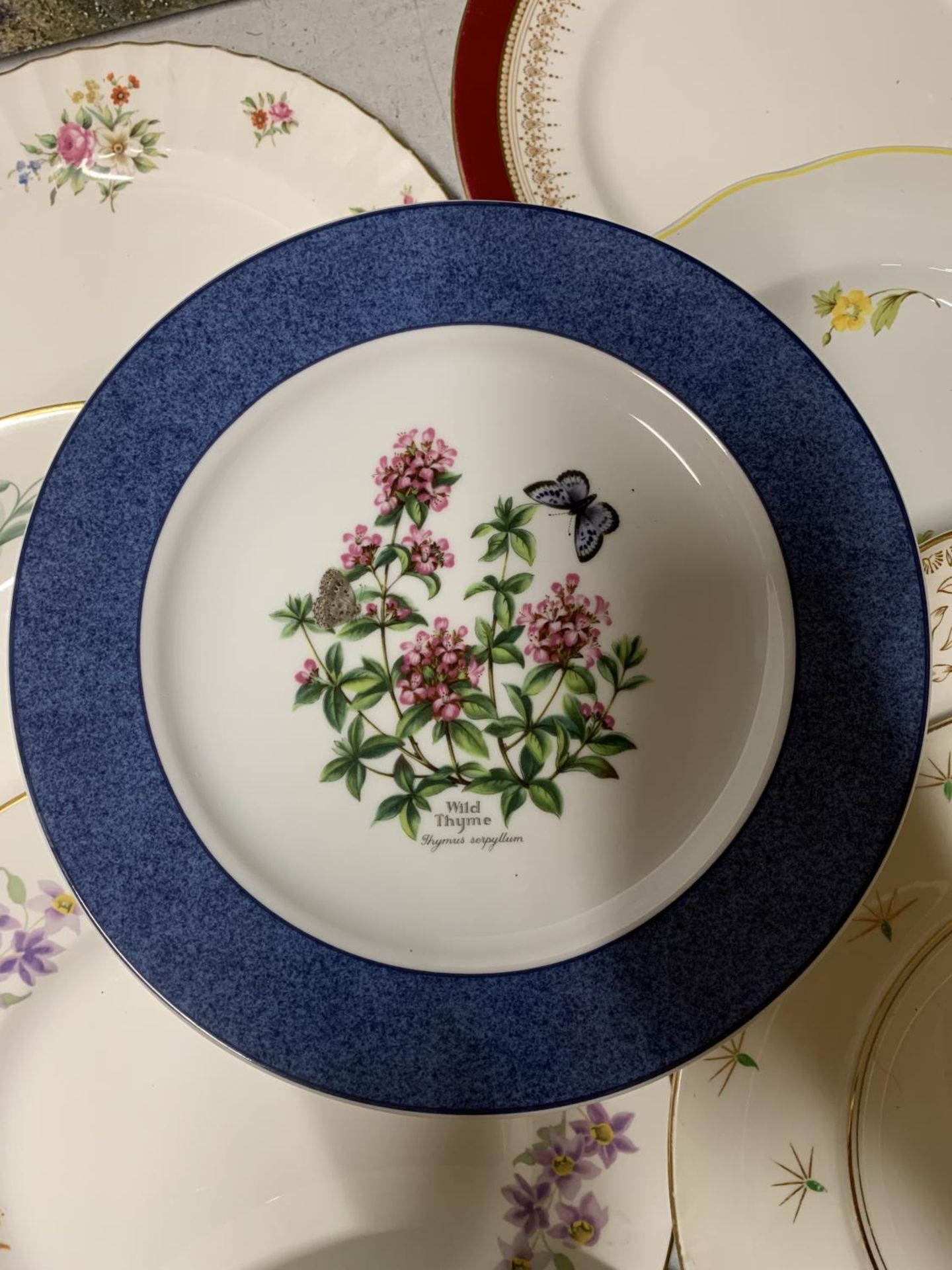 A LARGE QUANTITY OF VINTAGE PLATES TO INCLUDE ROYAL WORCESTER 'KENTMERE', ETC - Image 2 of 3