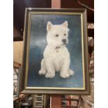 A FRAMED PAINTING OF A WEST HIGHLAND TERRIER BY GILLIAN ASH '85