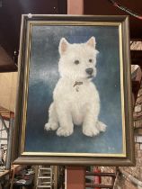 A FRAMED PAINTING OF A WEST HIGHLAND TERRIER BY GILLIAN ASH '85