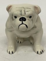 A LORNA BAILEY BRITISH BULLDOG