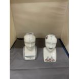 TWO PHRENOLOGY HEADS, HEIGHT 16CM