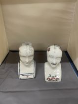 TWO PHRENOLOGY HEADS, HEIGHT 16CM