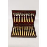 A VINTAGE SET OF FISH KNIVES AND FORKS IN A MAHOGANY BOX WITH HALLMARKED SILVER COLLARS