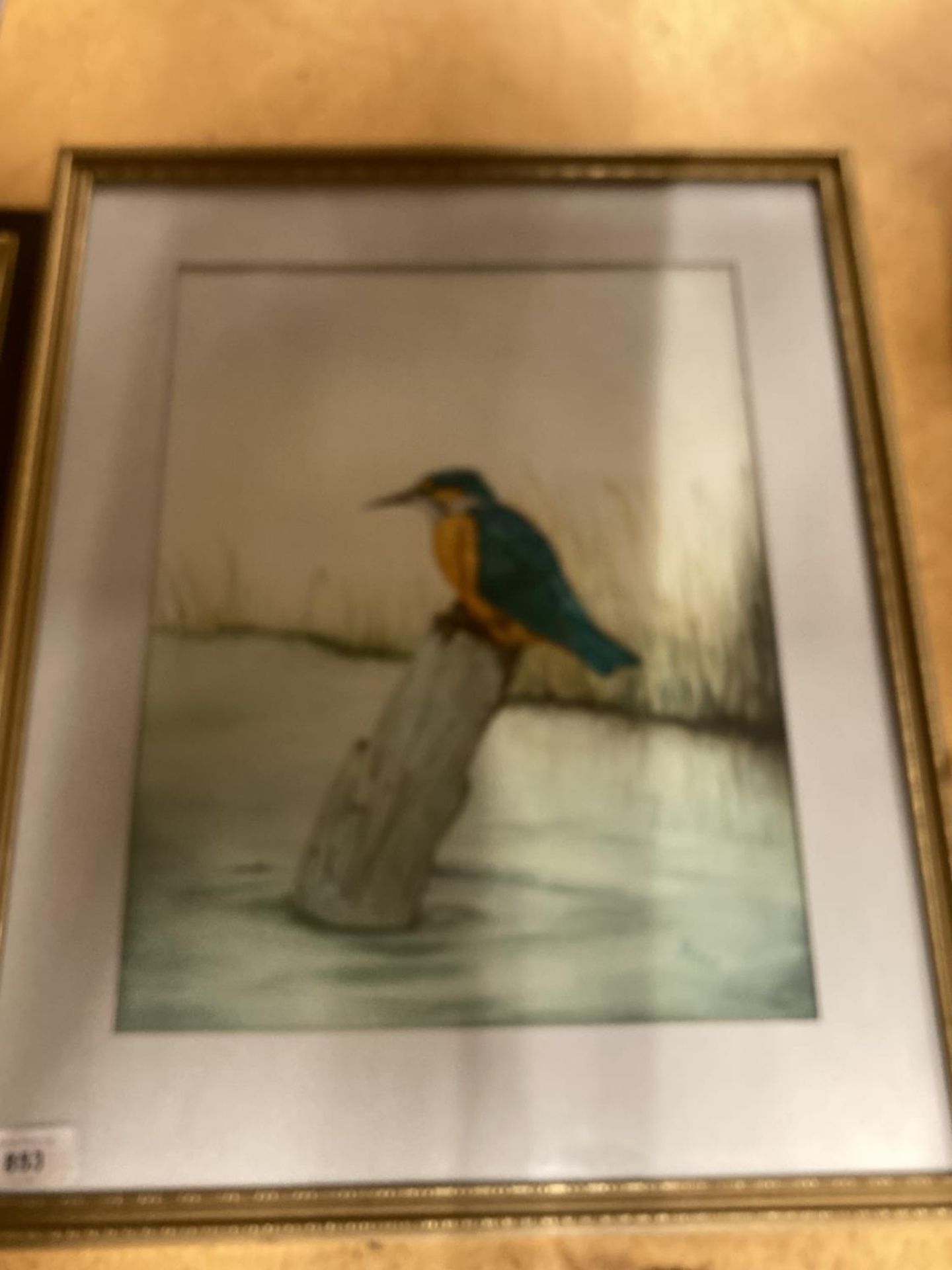A FRAMED WATERCOLOUR OF A KINGFISHER, SIGNED GB 1988, 44CM X 53CM