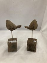 A PAIR OF STONE BIRDS ON A PLINTH