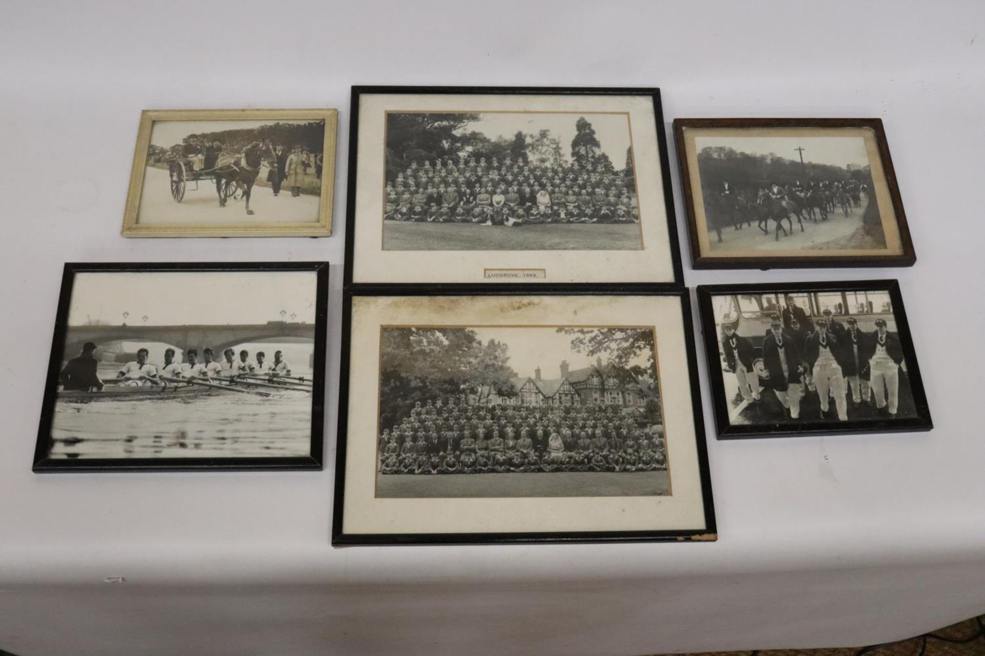 SIX FRAMED PICTURES OF SPORTING/ ROWING/HORSE RELATED PRINTS - Bild 2 aus 7