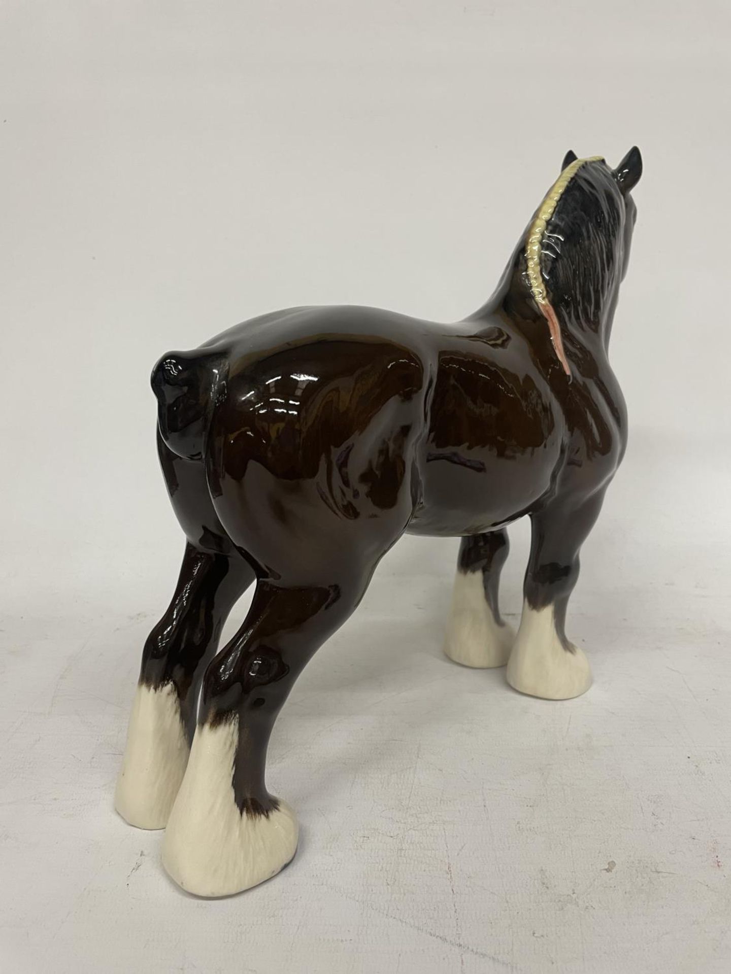 A BESWICK MODEL OF A SHIRE HORSE BLOWN GLOSS WITH WHITE BLAZE AND WHITE SOCKS - BURNHAM BEAUTY - Image 3 of 4