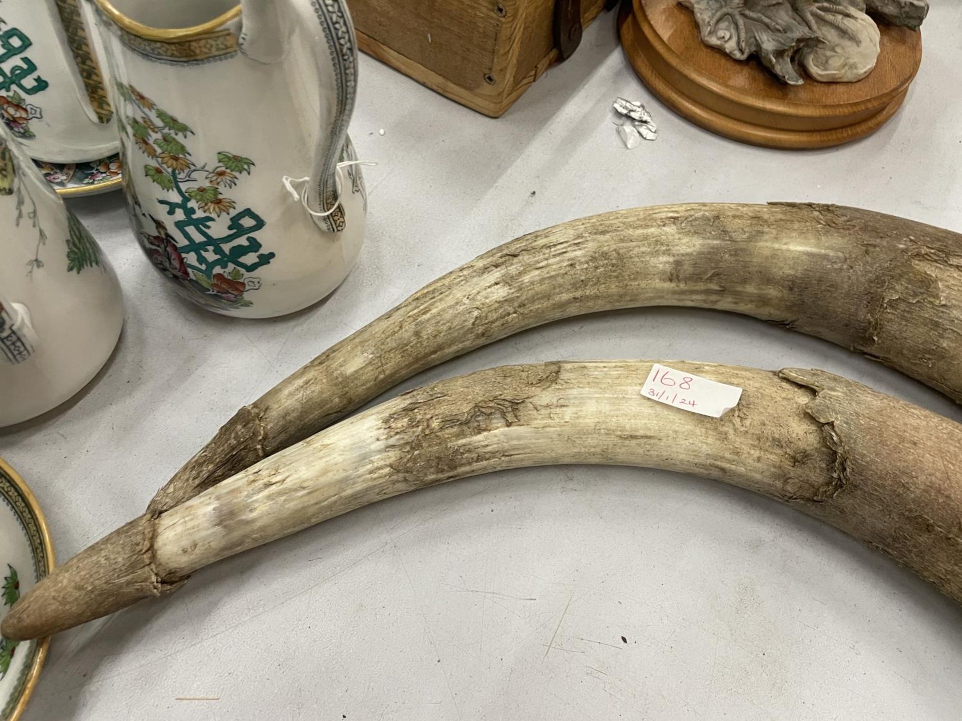 A PAIR OF COW HORNS - Image 4 of 4