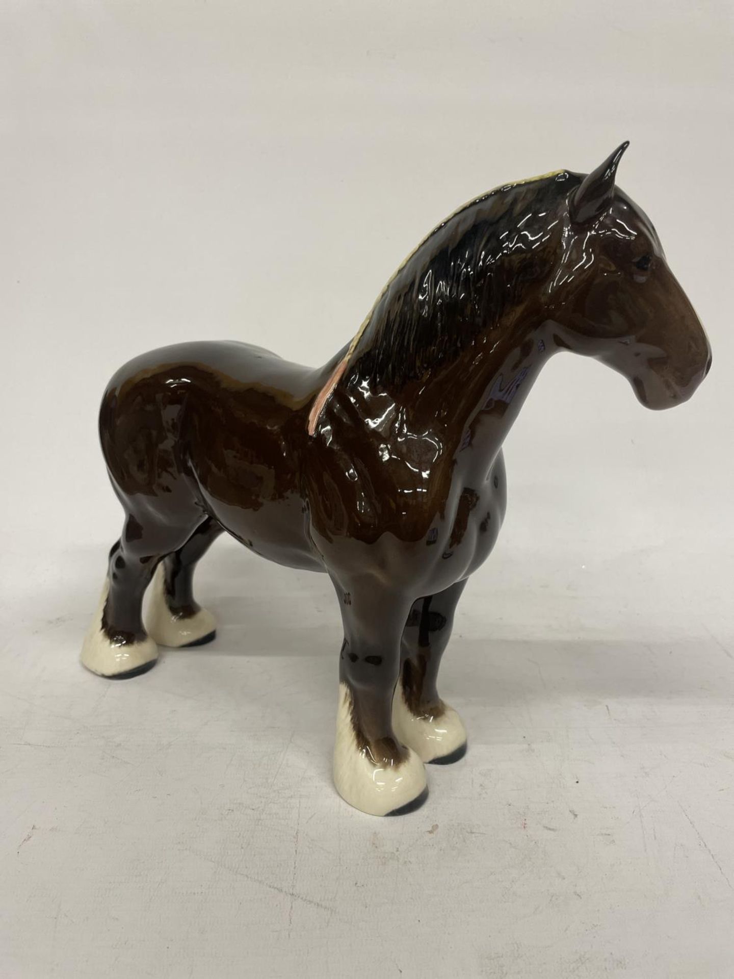 A BESWICK MODEL OF A SHIRE HORSE BLOWN GLOSS WITH WHITE BLAZE AND WHITE SOCKS - BURNHAM BEAUTY - Image 2 of 4