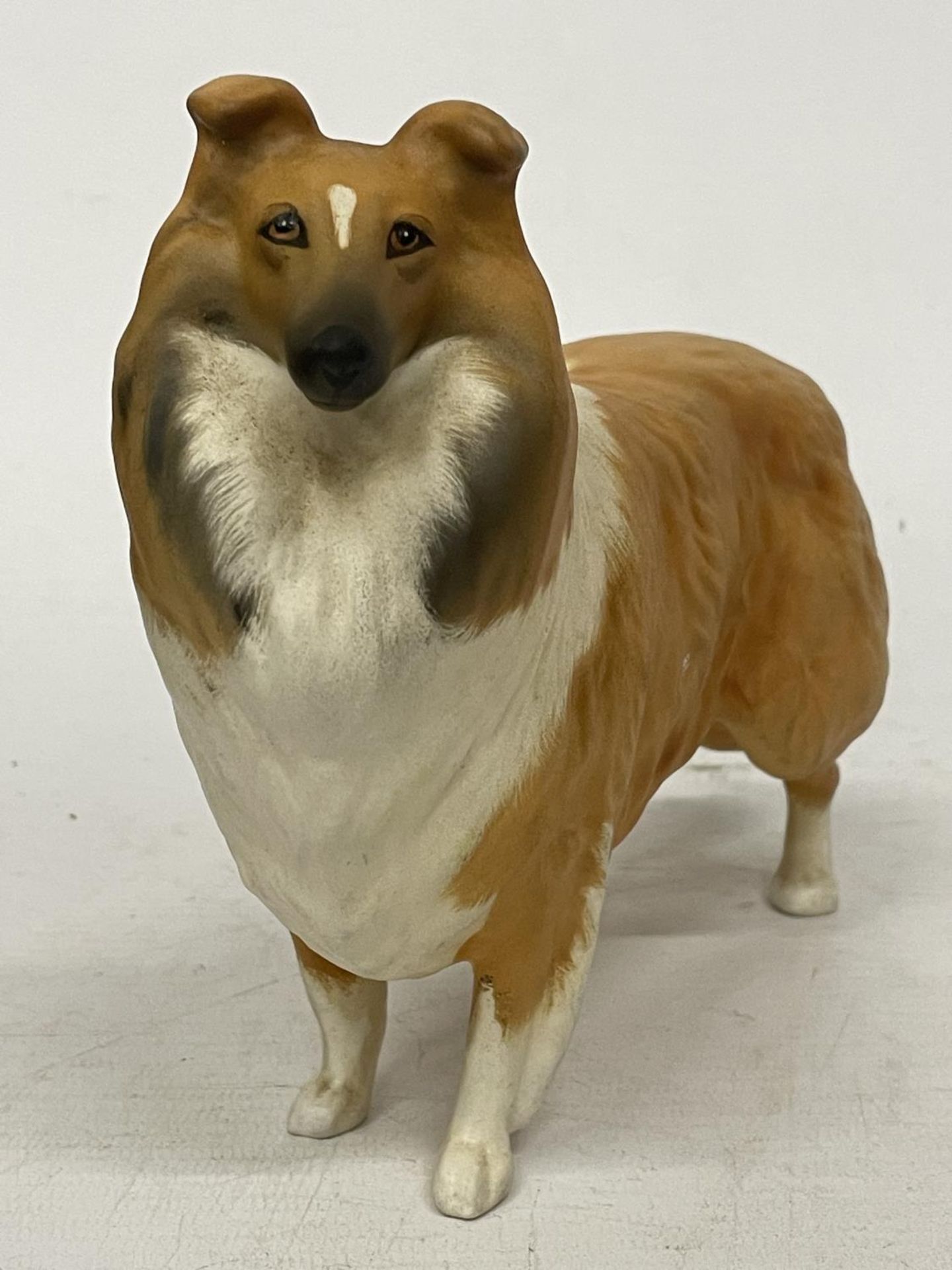 A BESWICK COLLIE DOG (LADY PARK) - Bild 2 aus 5