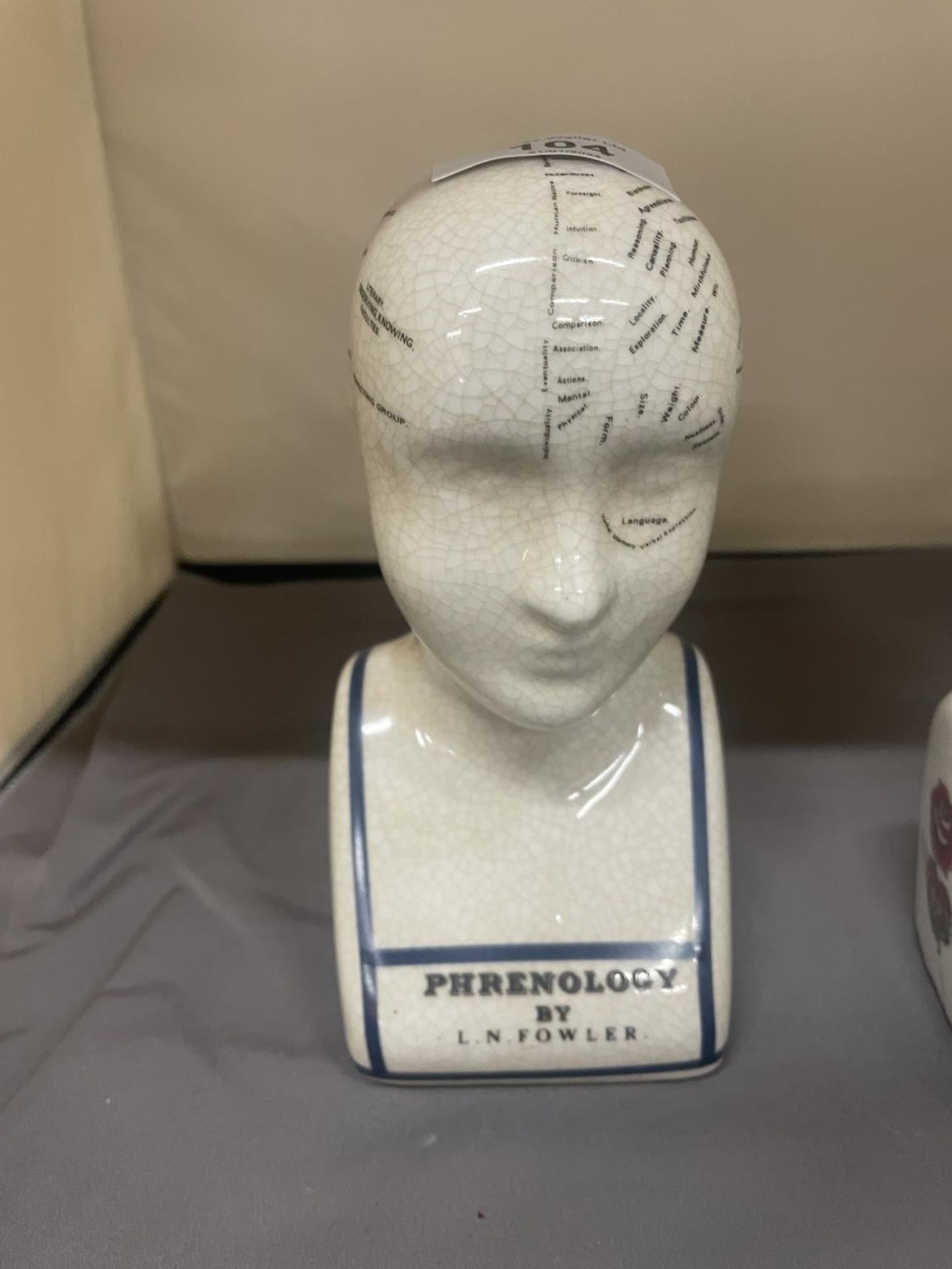 TWO PHRENOLOGY HEADS, HEIGHT 16CM - Image 2 of 5