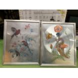 TWO FRAMED PRINTS WITH A SILVERED BACKGROUND, ONE OF BIRDS, THE OTHER A FAIRY SITTING ON A TOADSTOOL