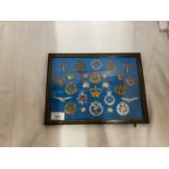 A FRAMED COLLECTION OF RAF BADGES