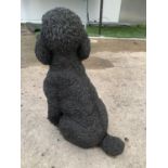 LARGE CONCRETE POODLE DOG FIGURE (TAIL A/F) HEIGHT APPROX 50CM NO VAT