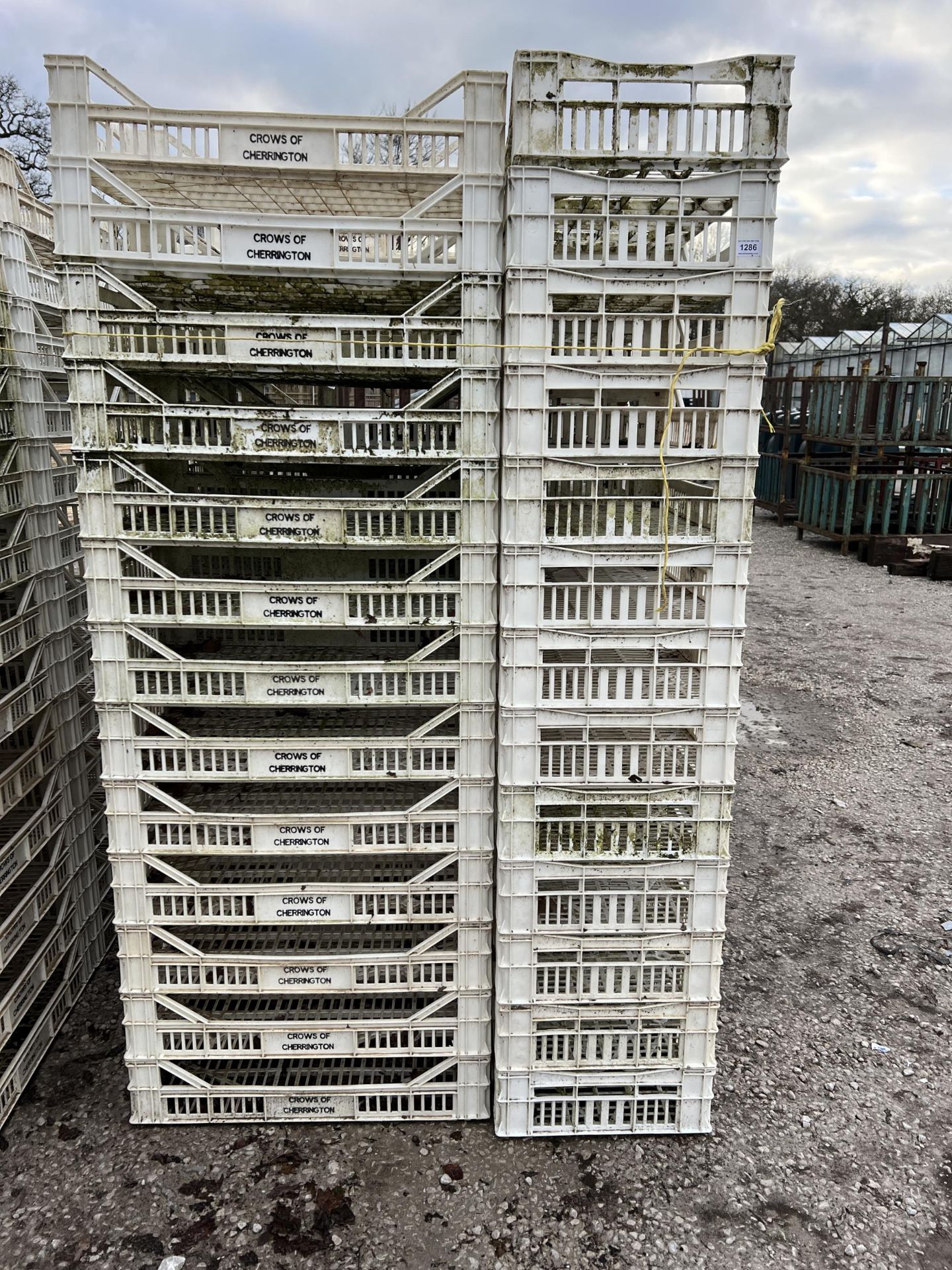 64 PLASTIC POTATO BOXES + VAT